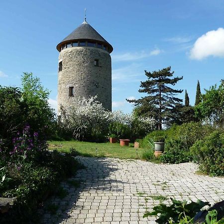 Bed and Breakfast Au Moulin Geant Rochefort-sur-Loire Exterior foto