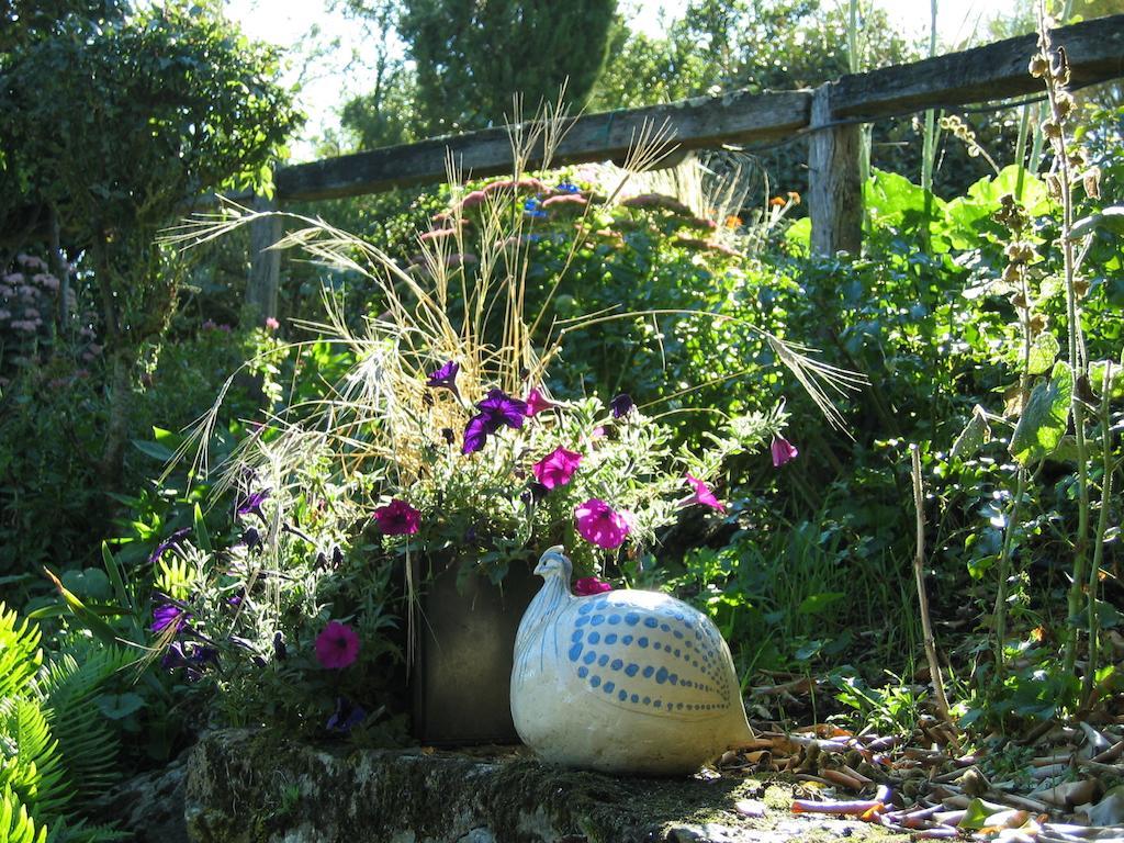 Bed and Breakfast Au Moulin Geant Rochefort-sur-Loire Exterior foto