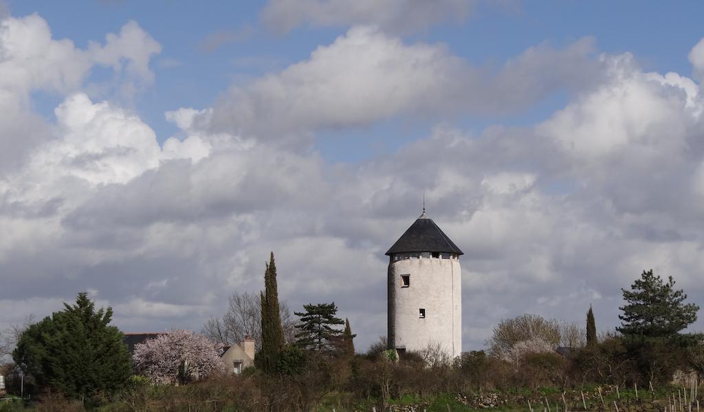 Bed and Breakfast Au Moulin Geant Rochefort-sur-Loire Exterior foto