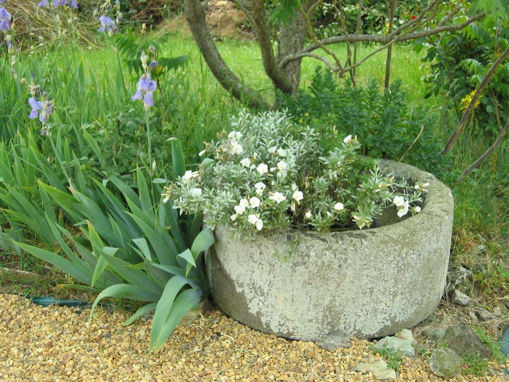Bed and Breakfast Au Moulin Geant Rochefort-sur-Loire Exterior foto