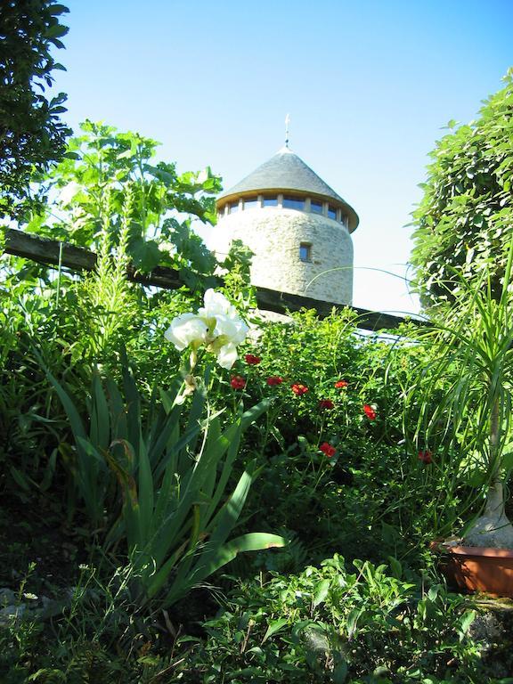 Bed and Breakfast Au Moulin Geant Rochefort-sur-Loire Exterior foto