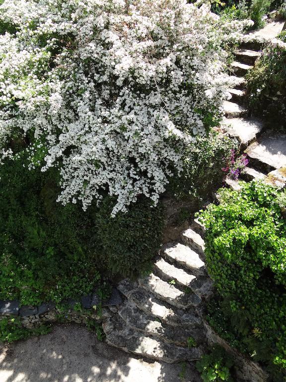 Bed and Breakfast Au Moulin Geant Rochefort-sur-Loire Exterior foto