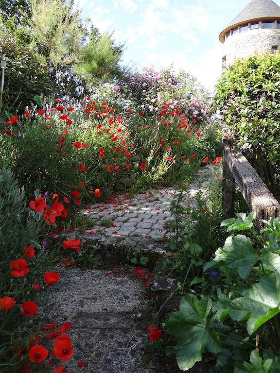 Bed and Breakfast Au Moulin Geant Rochefort-sur-Loire Exterior foto